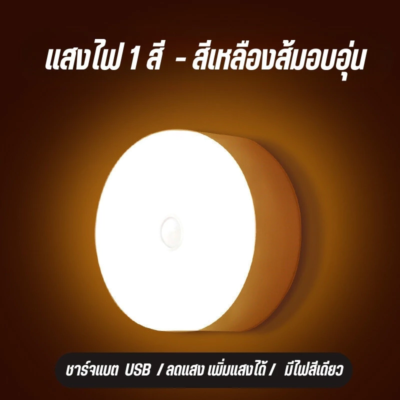 อัจฉริยะร่างกายมนุษย์อัตโนมัติเหนี่ยวนำไฟกลางคืนขนาดเล็ก (ชาร์จไฟได้) ประตูเข้าบ้านไร้สายตั้งแต่กลางคืน